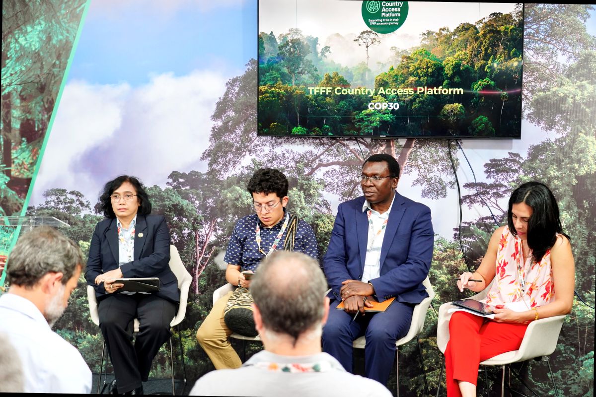 TFFF Country Access Platform Launched to Expand Tropical Forest Finance ...